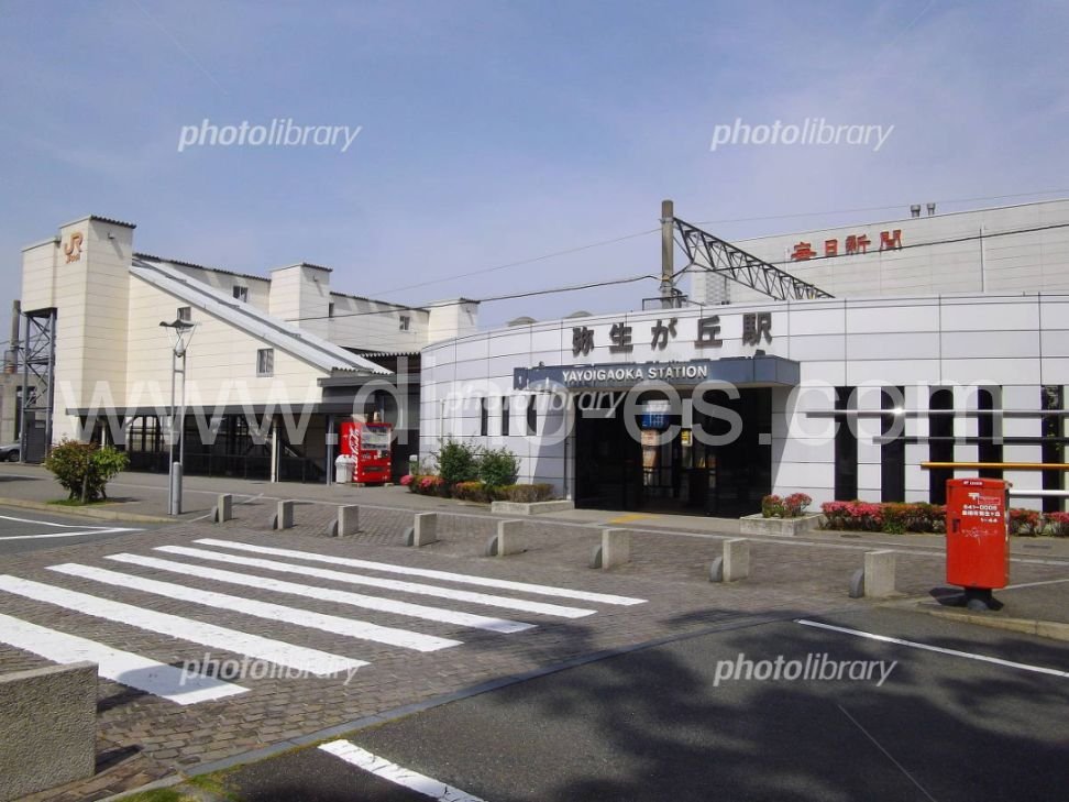 弥生が丘メンズエステの駅前の写真です。picture of Yayoigaoka station where to find spa and massage salons