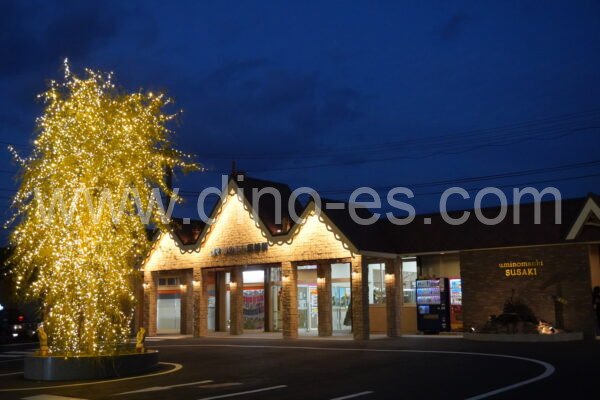 須崎メンズエステの駅前の写真です。picture of Susaki station where to find spa and massage salons