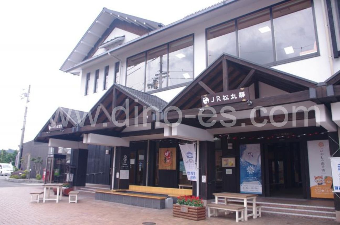 松丸メンズエステの駅前の写真です。picture of Matsumaru station where to find spa and massage salons