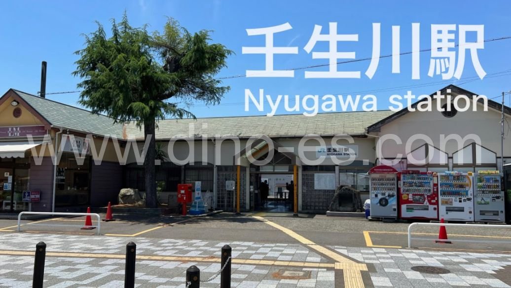 壬生川メンズエステの駅前の写真です。picture of Nyūgawa station where to find spa and massage salons