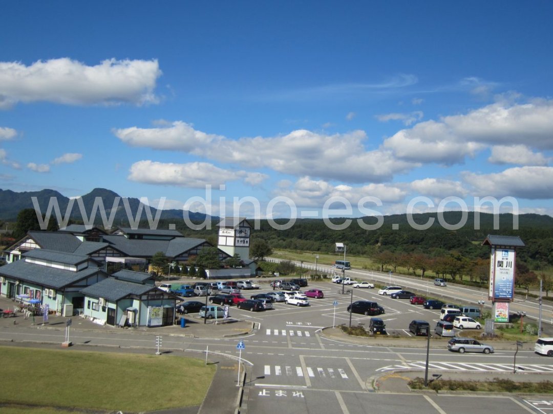 関川メンズエステの駅前の写真です。picture of Sekigawa station where to find spa and massage salons