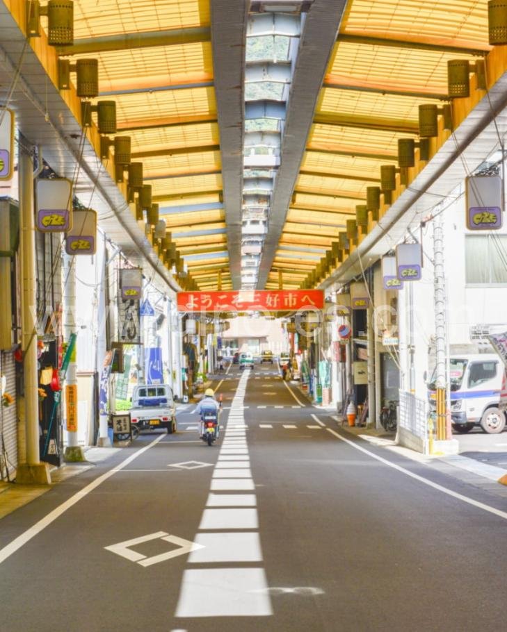 阿波池田メンズエステの駅前の写真です。picture of Awa-Ikeda station where to find spa and massage salons