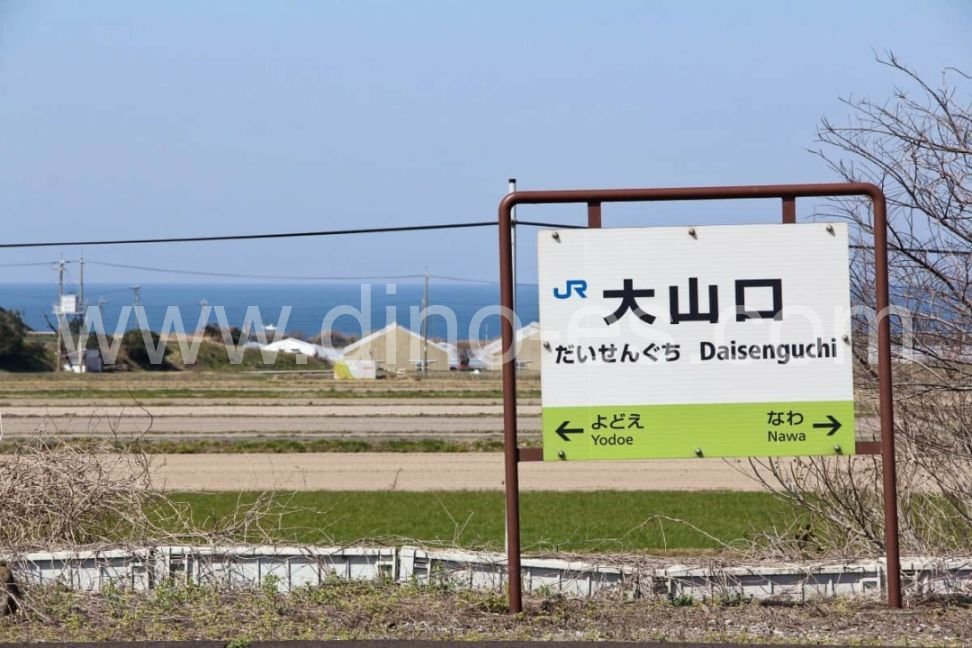 大山口メンズエステの駅前の写真です。picture of Daisenguchi station where to find spa and massage salons