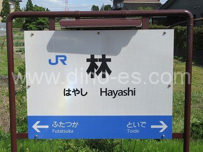 林メンズエステの駅前の写真です。picture of Hayashi station where to find spa and massage salons