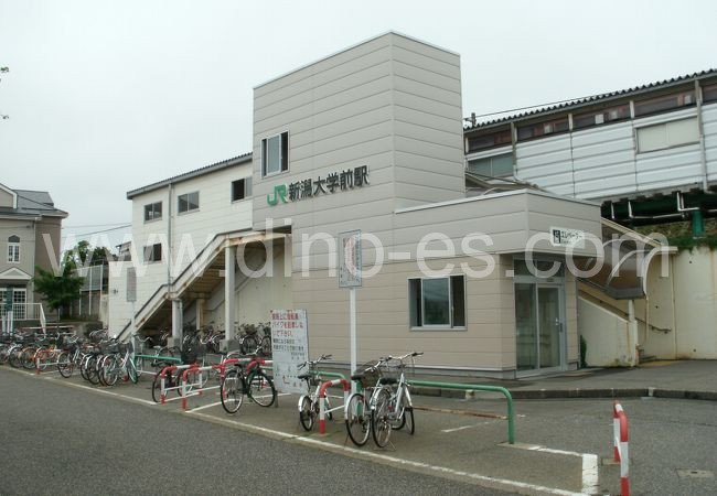 新潟大学前メンズエステの駅前の写真です。picture of Niigata-daigaku-mae station where to find spa and massage salons