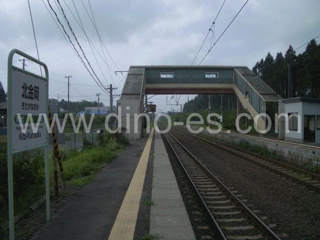 北金岡メンズエステの駅前の写真です。picture of Kita-Kanaoka station where to find spa and massage salons