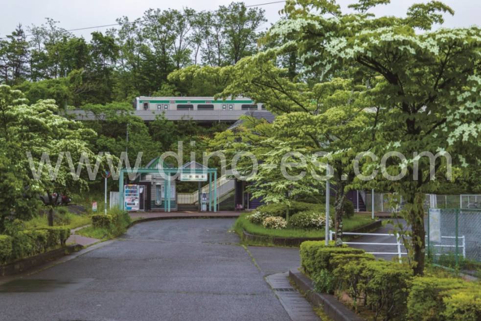 葛岡メンズエステの駅前の写真です。picture of Kuzuoka station where to find spa and massage salons