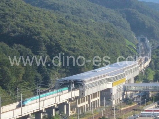 いわて沼宮内メンズエステの駅前の写真です。picture of Iwate-Numakunai station where to find spa and massage salons