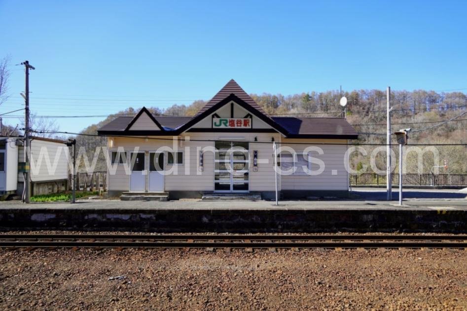 塩谷メンズエステの駅前の写真です。picture of Shioya station where to find spa and massage salons