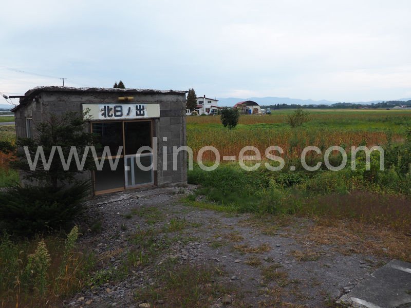 北日ノ出メンズエステの駅前の写真です。picture of Kita-Hinode station where to find spa and massage salons