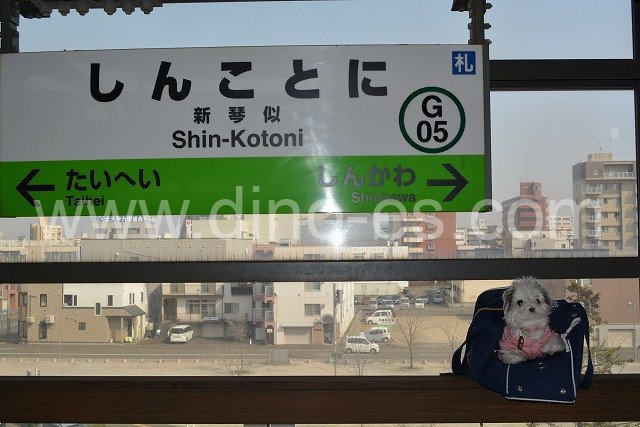 新琴似メンズエステの駅前の写真です。picture of Shin-Kotoni station where to find spa and massage salons