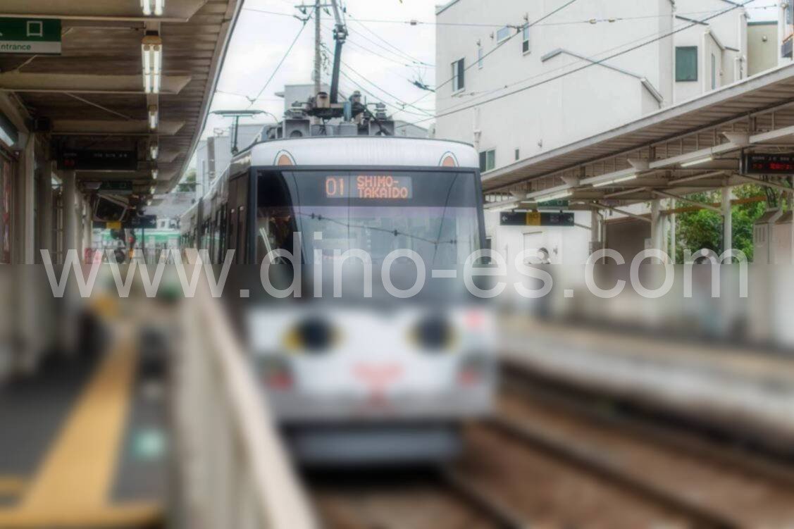 若林(東京)メンズエステの駅前の写真です。picture of Wakabayashi station where to find spa and massage salons