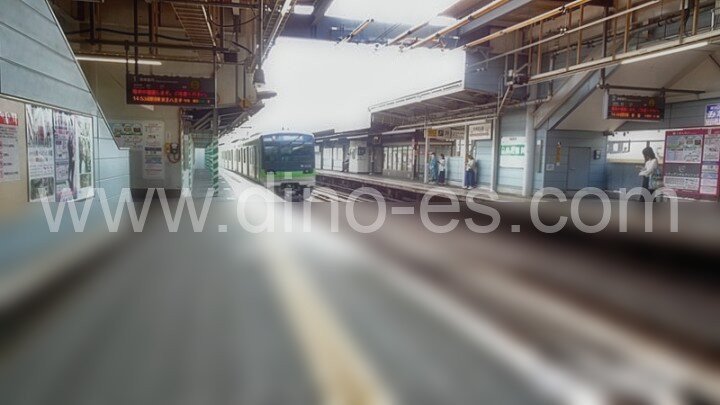 芦花公園メンズエステの駅前の写真です。picture of Rokakōen station where to find spa and massage salons