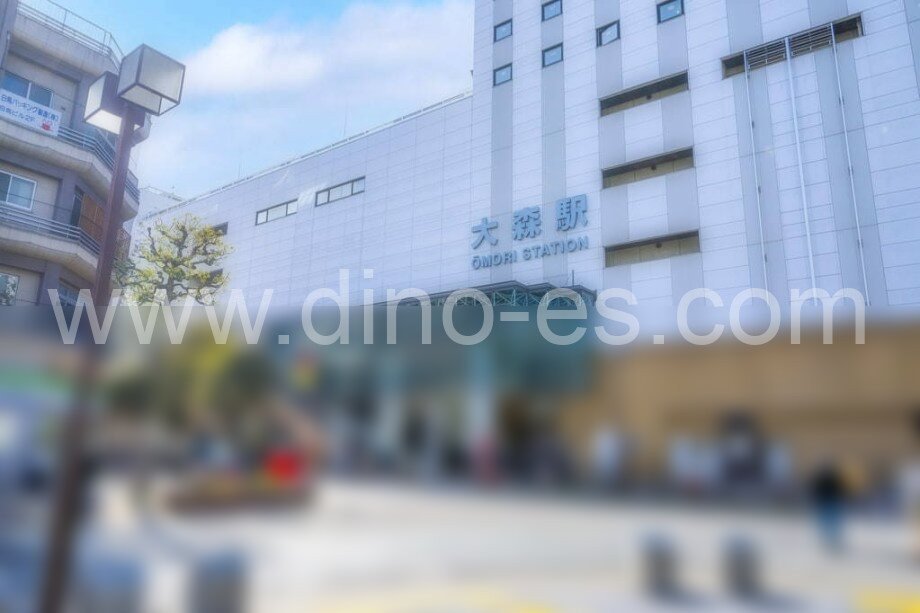 大森(東京)メンズエステの駅前の写真です。picture of Omori station where to find spa and massage salons