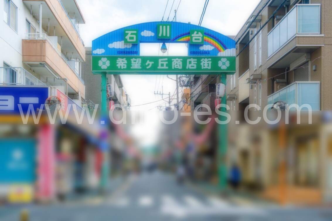 石川台メンズエステの駅前の写真です。picture of Ishikawadai station where to find spa and massage salons