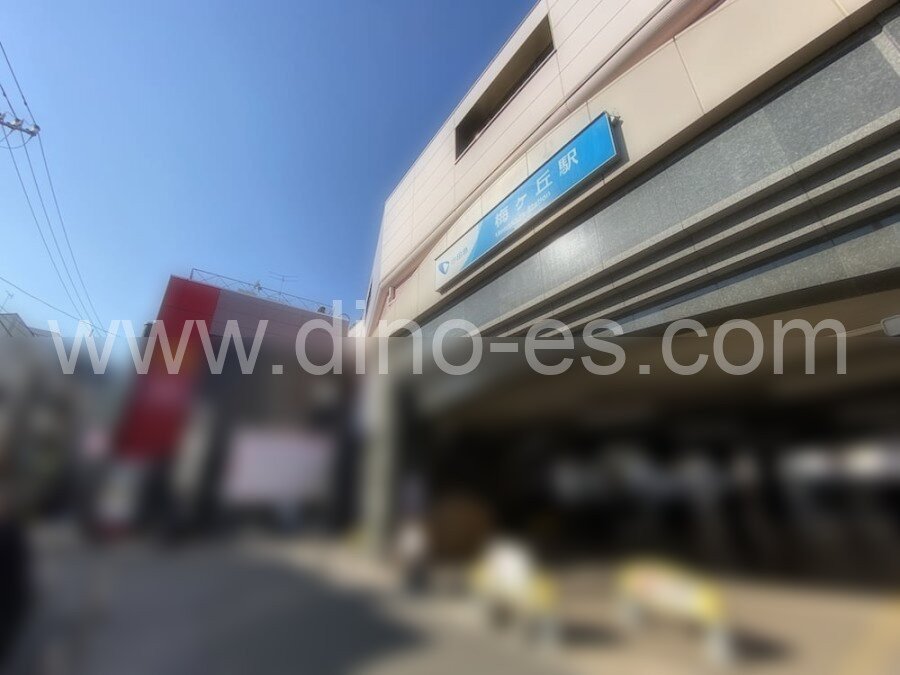 梅ヶ丘メンズエステの駅前の写真です。picture of Umegaoka station where to find spa and massage salons