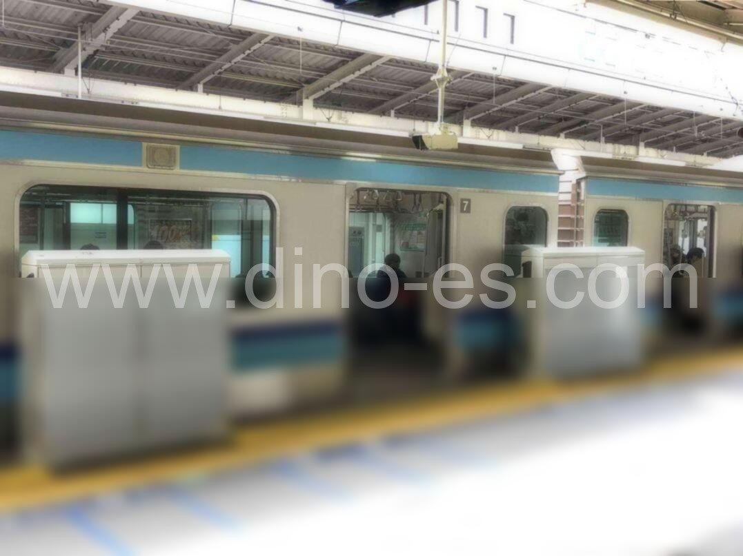 西葛西メンズエステの駅前の写真です。picture of Nishi-Kasai station where to find spa and massage salons