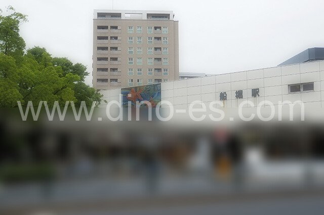 船堀メンズエステの駅前の写真です。picture of Funabori station where to find spa and massage salons