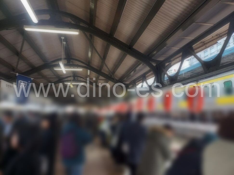 両国メンズエステの駅前の写真です。picture of Ryōgoku station where to find spa and massage salons