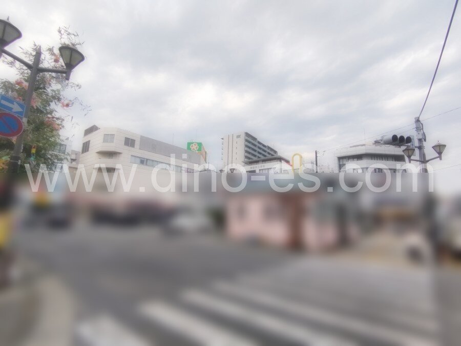 瑞江メンズエステの駅前の写真です。picture of Mizue station where to find spa and massage salons