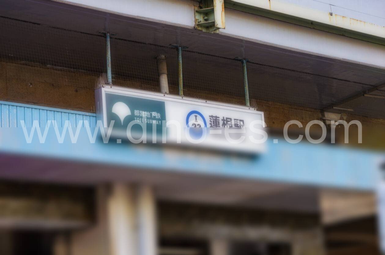 蓮根メンズエステの駅前の写真です。picture of Hasune station where to find spa and massage salons