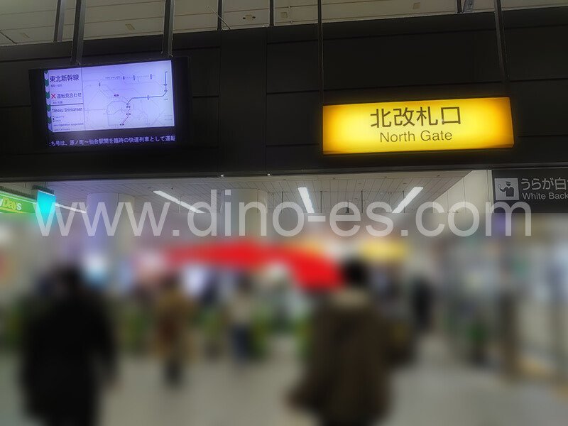 赤羽メンズエステの駅前の写真です。picture of Akabane station where to find spa and massage salons