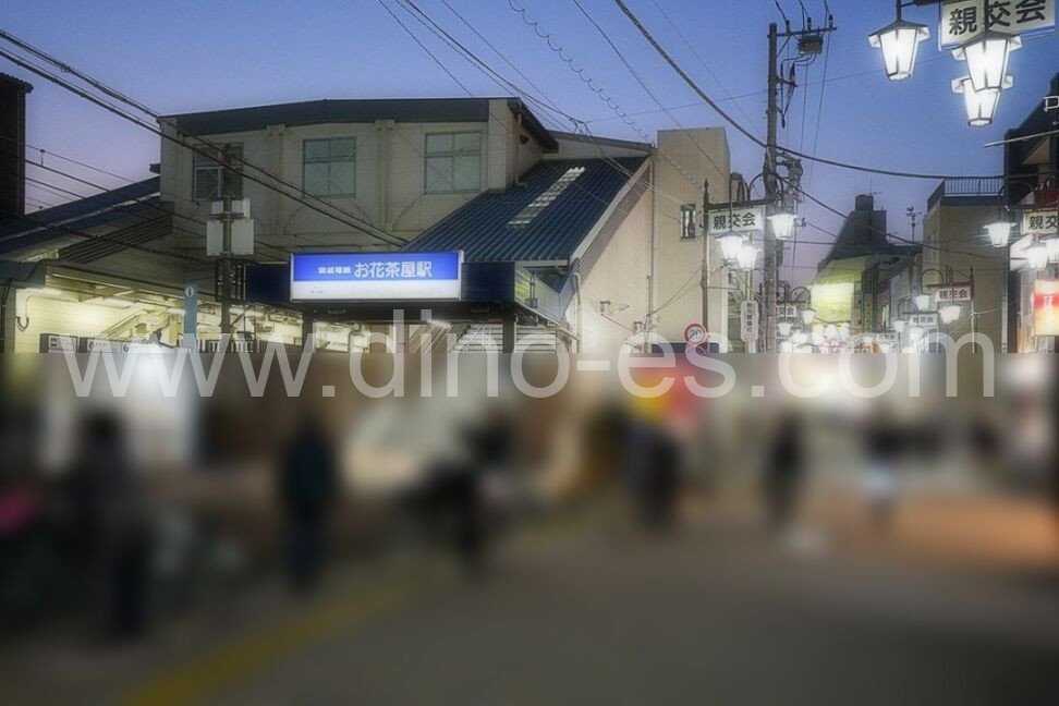 お花茶屋メンズエステの駅前の写真です。picture of Ohanajaya station where to find spa and massage salons