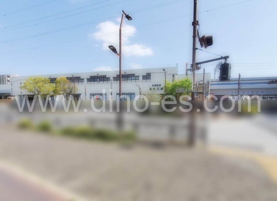 新柴又メンズエステの駅前の写真です。picture of Shin-Shibamata station where to find spa and massage salons