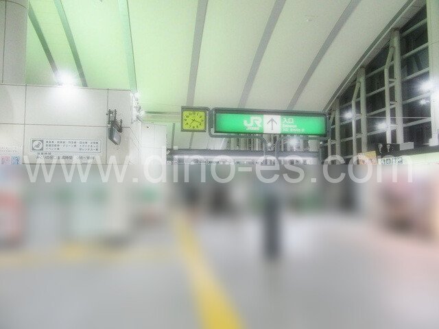 八王子みなみ野メンズエステの駅前の写真です。picture of Hachiōji-Minamino station where to find spa and massage salons