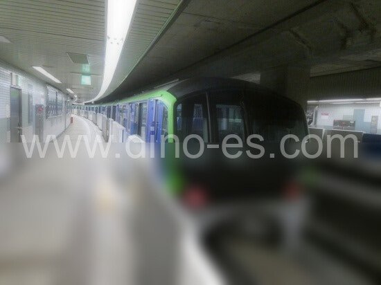 新整備場メンズエステの駅前の写真です。picture of Shin-Seibijō station where to find spa and massage salons