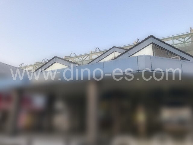 蒲生メンズエステの駅前の写真です。picture of Gamō station where to find spa and massage salons