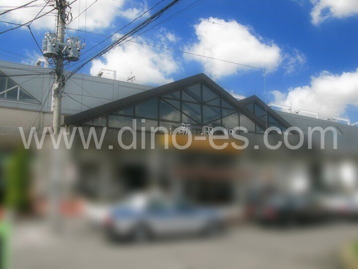 新田(埼玉)メンズエステの駅前の写真です。picture of Shinden station where to find spa and massage salons