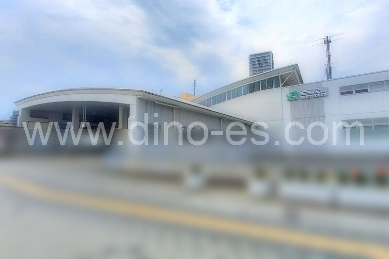 上尾メンズエステの駅前の写真です。picture of Ageo station where to find spa and massage salons