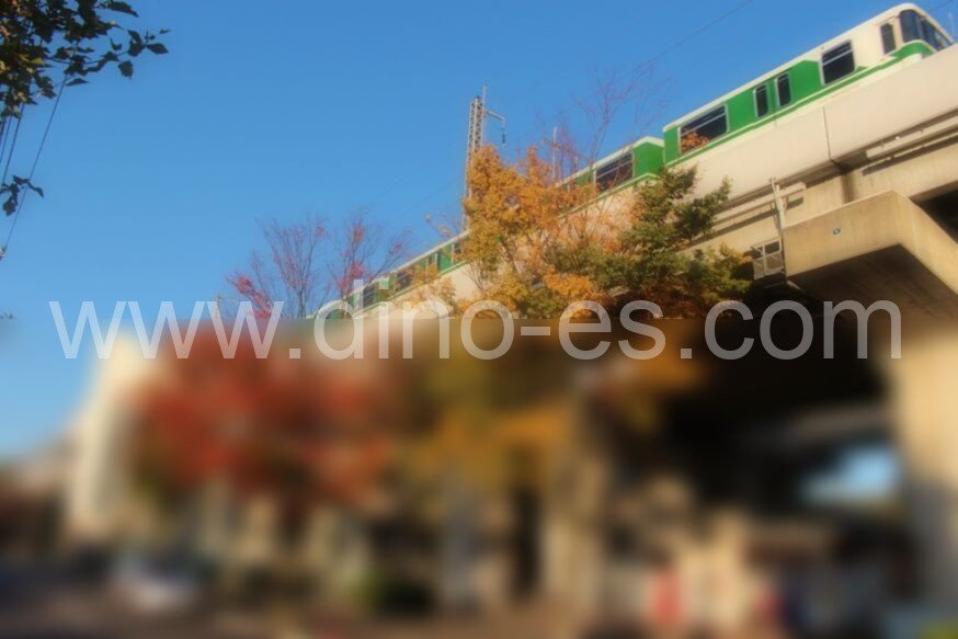 沼南メンズエステの駅前の写真です。picture of Shōnan station where to find spa and massage salons