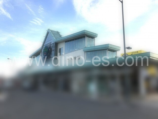 北上尾メンズエステの駅前の写真です。picture of Kita-Ageo station where to find spa and massage salons