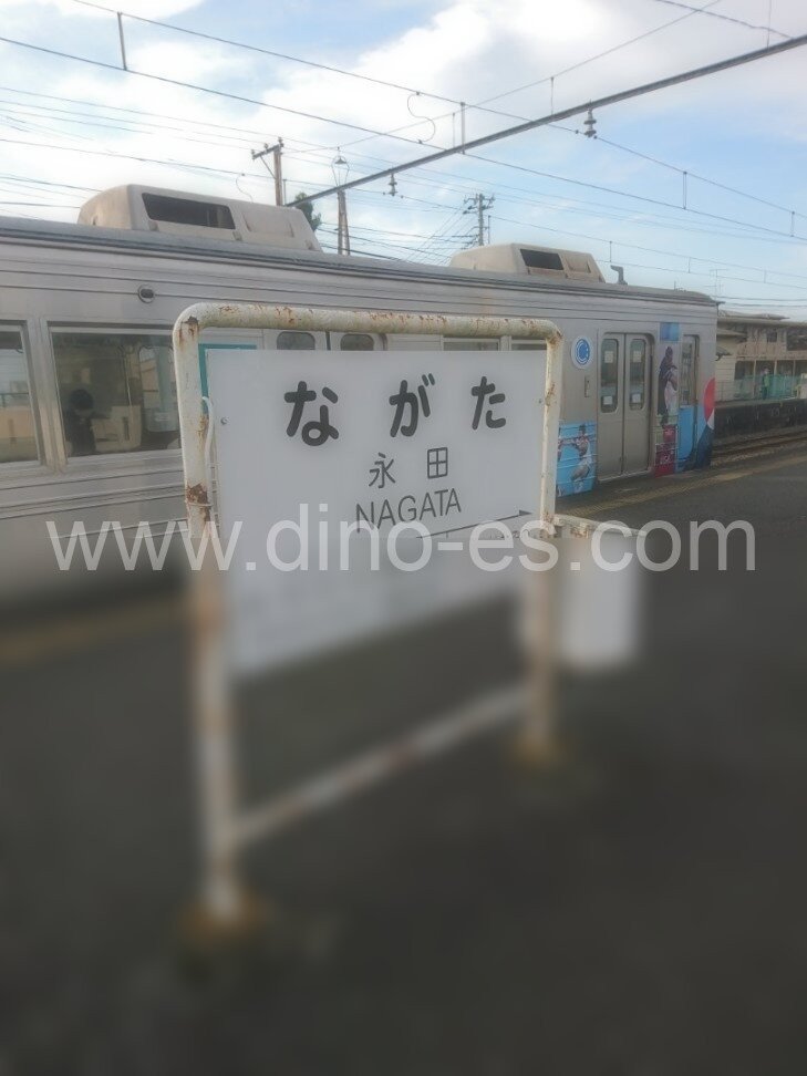 永田(埼玉)メンズエステの駅前の写真です。picture of Nagata station where to find spa and massage salons