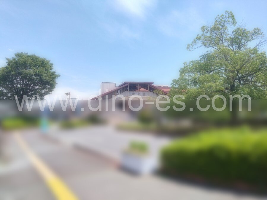 吹上(埼玉)メンズエステの駅前の写真です。picture of Fukiage station where to find spa and massage salons