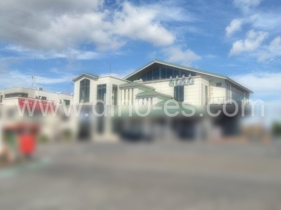 武蔵高萩メンズエステの駅前の写真です。picture of Musashi-Takahagi station where to find spa and massage salons