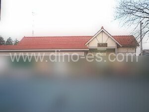 毛呂メンズエステの駅前の写真です。picture of Moro station where to find spa and massage salons