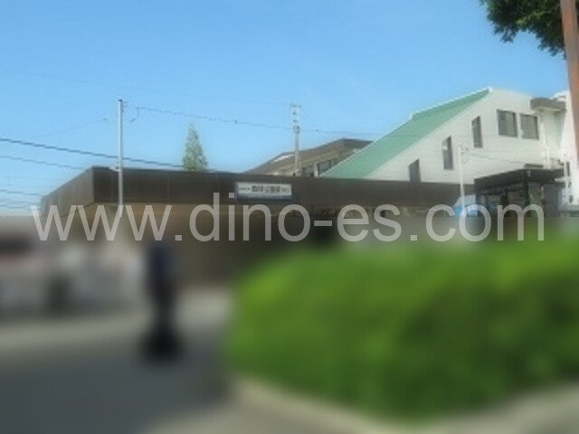 森林公園(埼玉)メンズエステの駅前の写真です。picture of Shinrinkōen station where to find spa and massage salons