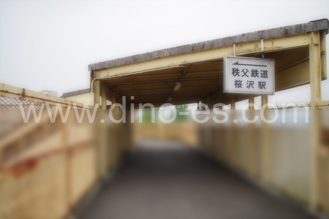 桜沢(埼玉)メンズエステの駅前の写真です。picture of Sakurasawa station where to find spa and massage salons