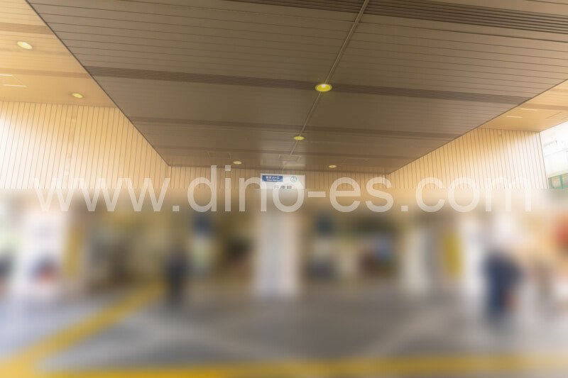 行徳メンズエステの駅前の写真です。picture of Gyoutoku station where to find spa and massage salons