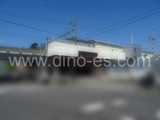 市川大野メンズエステの駅前の写真です。picture of Ichikawa-Ono station where to find spa and massage salons