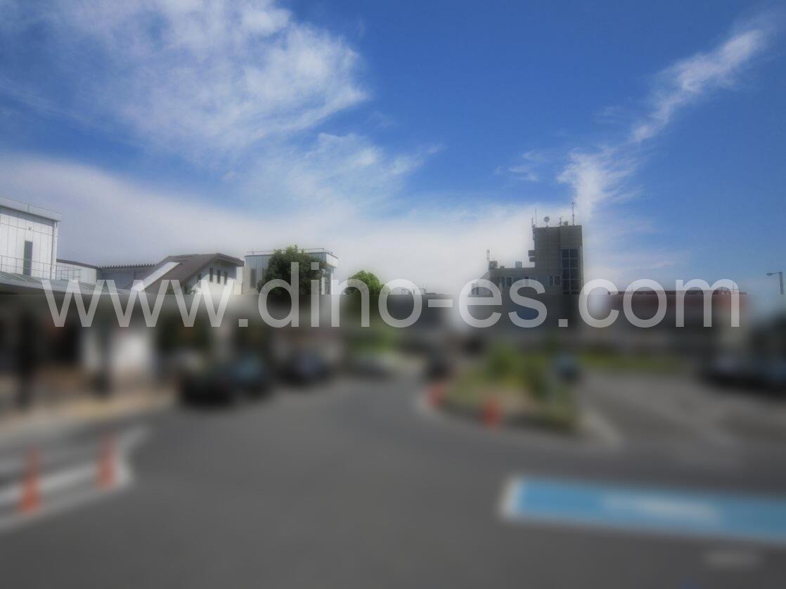 蓮田メンズエステの駅前の写真です。picture of Hasuda station where to find spa and massage salons