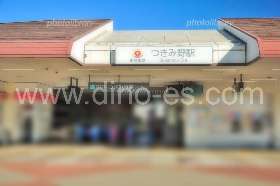 つきみ野メンズエステの駅前の写真です。picture of Tsukimino station where to find spa and massage salons