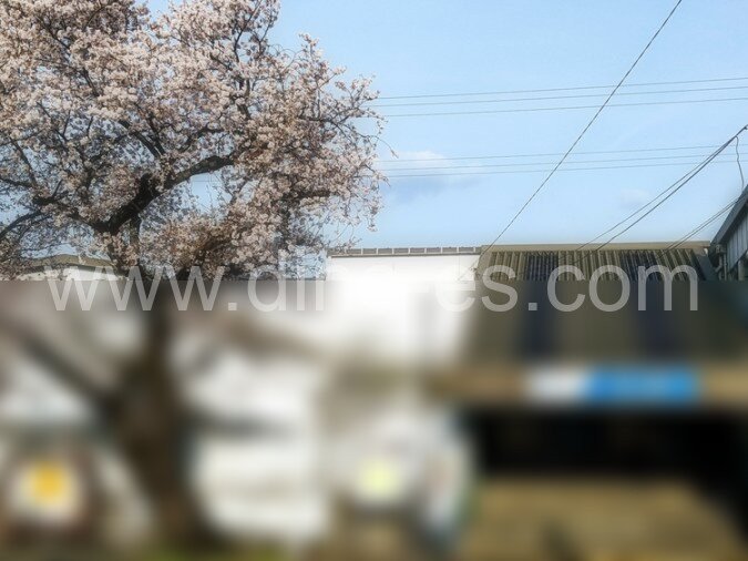 桜ヶ丘メンズエステの駅前の写真です。picture of Sakuragaoka station where to find spa and massage salons