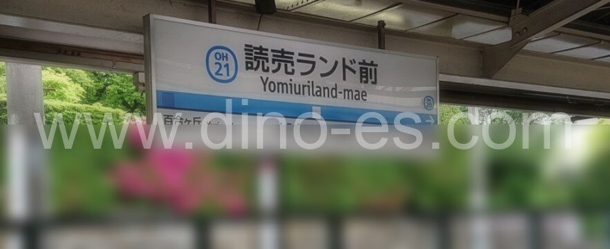 読売ランド前メンズエステの駅前の写真です。picture of Yomiuri-Land-mae station where to find spa and massage salons