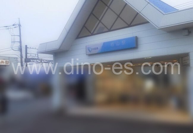 栢山メンズエステの駅前の写真です。picture of Kayama station where to find spa and massage salons