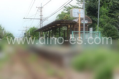 樋越メンズエステの駅前の写真です。picture of Higoshi station where to find spa and massage salons