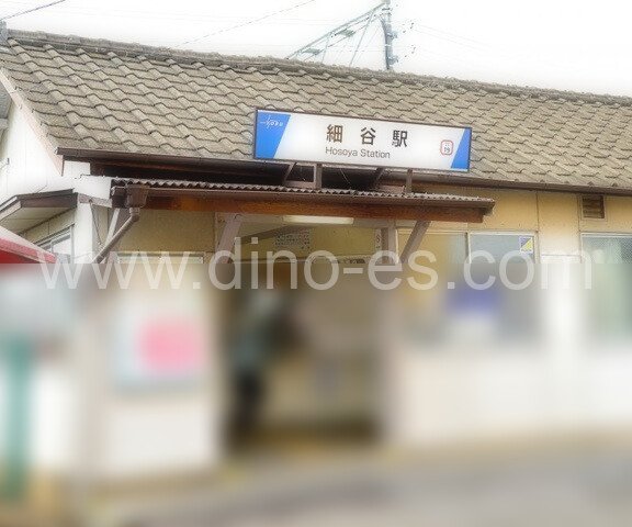 細谷(群馬)メンズエステの駅前の写真です。picture of Hosoya station where to find spa and massage salons